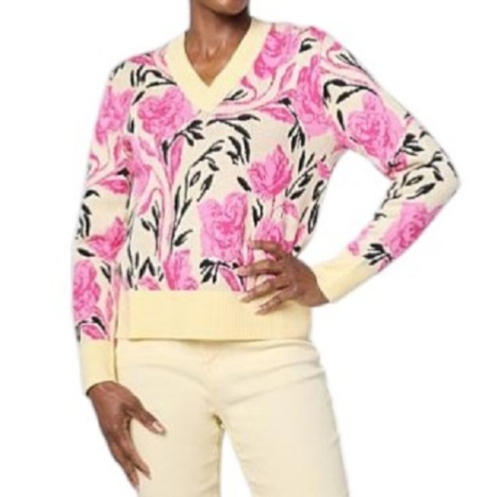DG2 by Diane Gilman Soft Ease V-Neck Sweater 2X Leopard Rose NWT